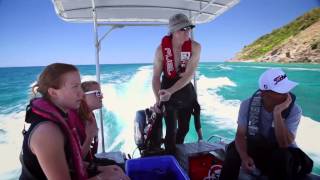 Earthwatch Expedition Recovery of the Great Barrier Reef [upl. by Kinelski808]