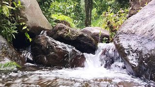 Relaxing Waterfalls Sounds To Relieve Stress Anxiety and Depressive States • Heals the Mind [upl. by Ocirred332]