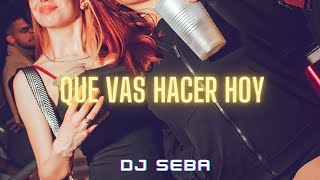 Que vas hacer hoy Remix  Dj Seba [upl. by Gabel]