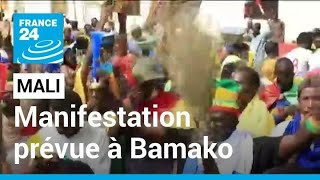 Mali  manifestation prévue à Bamako contre la Minusma • FRANCE 24 [upl. by Airlie675]