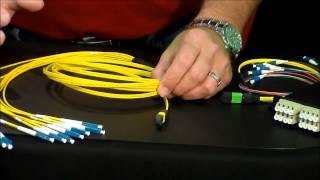 MTP Breakout Cables Video [upl. by Sontich]