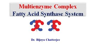 Multienzyme Complex [upl. by Assedo]