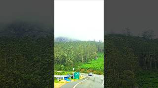 📍Lockhart View munnar kerala india viralshorts moonsoon nature viralvideos traveler Shorts [upl. by Naam]