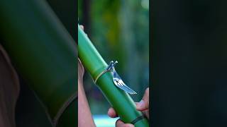 Bamboo make a slingshot gun 🔫 bamboo bamboogun bambooshoot nature outdoors bamboolovers [upl. by Enined]