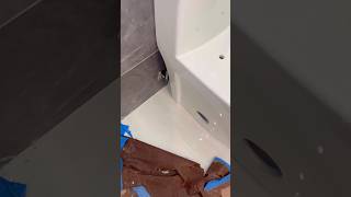 Toilet installation nightmare bad [upl. by Ardnekal]