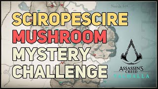 Sciropescire Mushroom Mystery Hallucination Challenge Fly Agaric AC Valhalla [upl. by Yramanna]