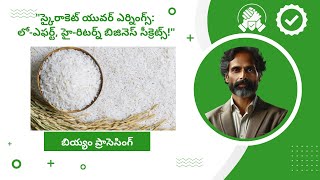 Primary processing  Paddy Finance Mastery 2  Telugu  Best Business Idea 2024 [upl. by Breeze]