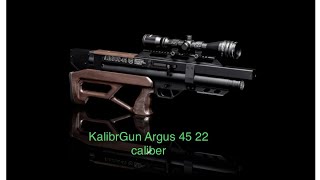 kalibrgunargus KalibrGun Argus 45W 22 caliber first USA review [upl. by Ailin]