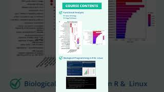 RNA Seq Data Analysis With Linux amp R Course [upl. by Anivek]