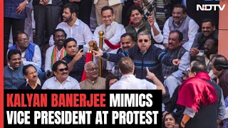 MP Mimics Vice President At Protest Rahul Gandhi Takes Video quotIm So Tallquot [upl. by Enrev]