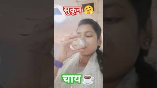 Tea lover☕ chai terebinanaguzarahai trending behlbrothers shortsvideo tealover viralvideo [upl. by Yuht]