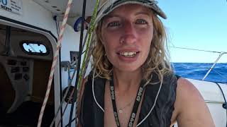 Mini Transat 2023  Leg 2  AUT 980 Mojo [upl. by Stouffer]