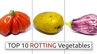 Top 10 Rotting Vegetable Timelapses [upl. by Einniw]