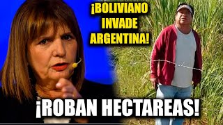 💥BOLIVIANO ROBA 2500 HECTÁREAS Y LOS ANEXA A BOLIVIA 💥BULLRICH LOS SACA CAGANDO [upl. by Hcirdla]