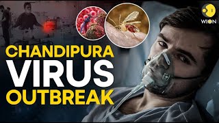 What is Chandipura Virus Heres everything you need to know about it  WION Originals [upl. by Mena961]