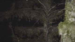 Bigfoot Sighting Estacada Oregon [upl. by Sinnaoi]