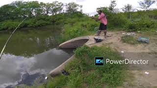 The Dangers Of Bass Fishing  Worth Watching  fishing funny [upl. by Adnylg]