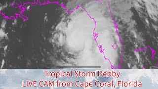 Tropical Storm Debby LIVE CAM from Cape Coral Florida [upl. by Osnofla]