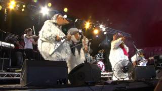 The Wombles  Remember Youre A Womble Live at Glastonbury 2011 [upl. by Etnuahs]