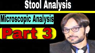 Microscopic Analysis of Stool Part 3 [upl. by Heyra259]