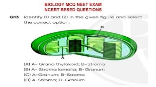 TopMCQ cell the unit of Life NCERT line by line  NCERT Based Biology MCQ for NEET 2024  NEETupdate [upl. by Enillebyam61]