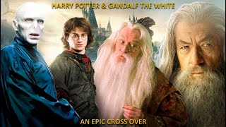 Harry Potter and Gandalf the White  Chapter 18 MiddleEarth Meets Hogwarts [upl. by Eliezer661]