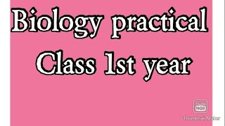 Biology practical class 1st year [upl. by Pufahl]