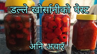 डल्ले अकबरे खोर्सानीको अचार अनि पेस्ट। ROUND CHILLI PICKLE AND PASTE RECIPE AKABARE KO AACHAR [upl. by Jeraldine]