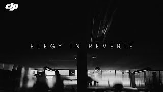 Elegy in Reverie  DJI Ronin 4D8K [upl. by Mauralia37]