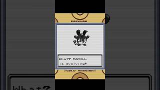 Evolution Of Marill Into Azumarill In Gen 2  Pokemon Gold pokemon [upl. by Nolyak824]