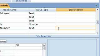 Add a Description to a Field in Access 2007 [upl. by Aramat]