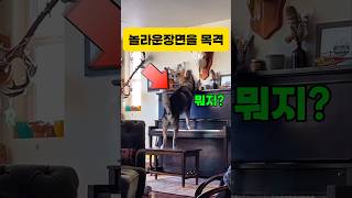 보고도 믿지못할 장면 이게 무슨소리지 클래식 피아노 piano 일미터클래식 music 즐거운영상 [upl. by Eseret]