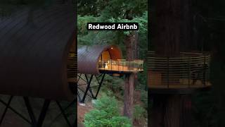 Redwood Forest Treehouse Airbnb airbnb treehouse forest [upl. by Kraul885]