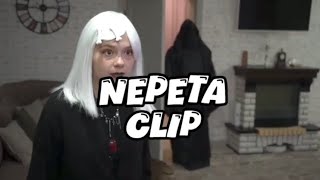 Nepeta Clip quotИммунитетquot Амура [upl. by Peggi]