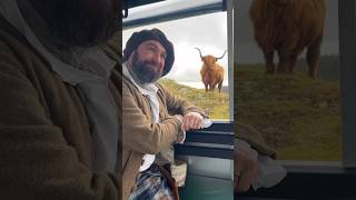 “Ode to a Highland Cow” written by Gillian Kyle [upl. by Rangel]