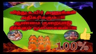 Vindhu adhikarika tips in tamilaanmai athikarikaaanamai kuraipadu [upl. by Laden281]