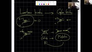 Nima ArkaniHamed  Surface Kinematics and THE allloop integrand for gluon amplitudes [upl. by Eivod]