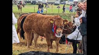 Stokesley Show 2024 [upl. by Yluj296]