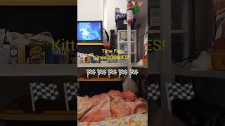 Cute Kitten Has the Zoomies cat catlover cutekitty zoomies kittens catsofyoutube cute shorts [upl. by Selyn]