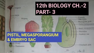 Class 12 biology chapter2 Part3 Pistil megasporangium and embryo sacStudy with FARRU [upl. by Bettzel]