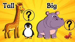 Big SmallTall ShortFun Size Song for Kids nursery rhymes and kids songslearn Size with animals [upl. by Amann]