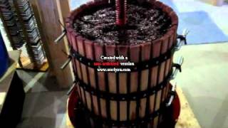 Wine Press [upl. by Shaum]