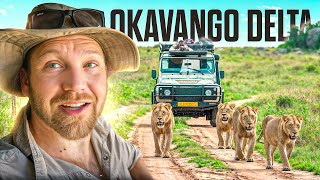 14 Tage Safari PUR im Okavango Delta in Botswana [upl. by Analahs]