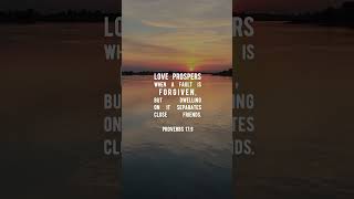 Proverbs 179  bibleverse bible proverbs [upl. by Nwhas853]