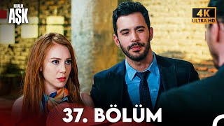 Kiralık Aşk Yeniden 37 Bölüm 4K Ultra HD [upl. by Letnahc]