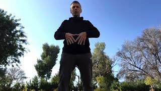 BUDDHA PALM Qi Gong Healing Hands With Daviddavidmitchell6972 [upl. by Geerts]