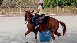 Eloise OLD WEST RANCH Las Lajas Centre équestre Coronado Cours équitation enfant chame Panamá [upl. by Gredel]