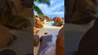 Hidden Gem  Seychelles island africa indianocean travel beach shorts destination beautiful [upl. by Ahsatan]