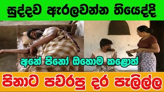 පිනාගෙ දර පැලිල්ල  Pinage Dara Pelilla [upl. by Dnarb]