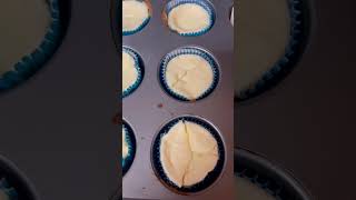 Mini Cheesecakes Made from Scratch [upl. by Jolie]